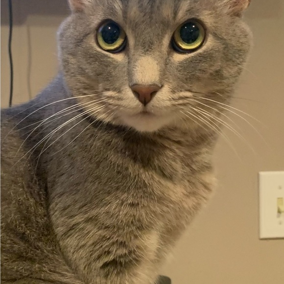 bugerstobetsy